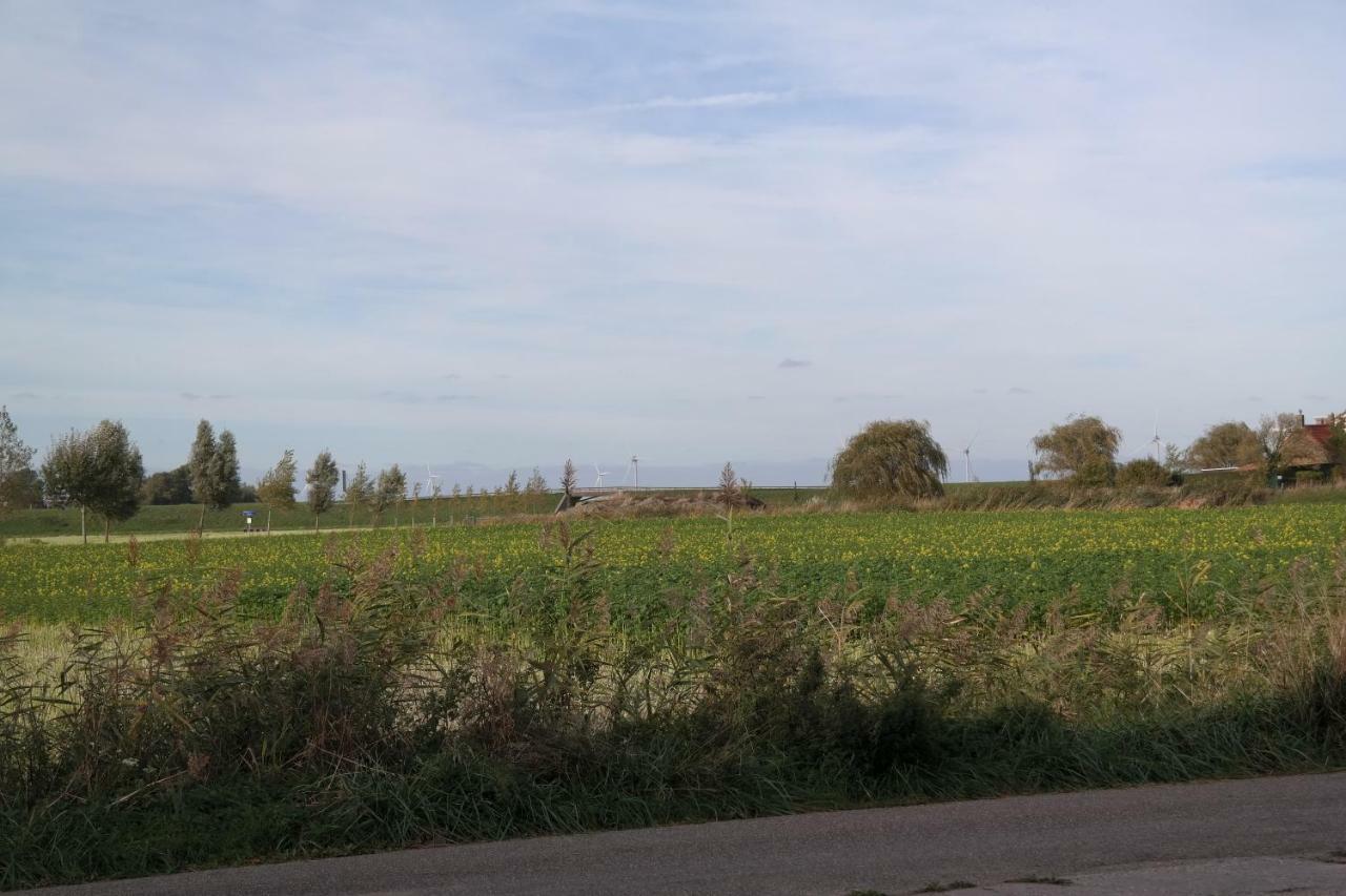 De Goede Verwachting Kamperland Exterior photo